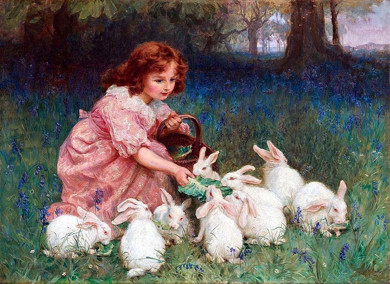 Feeding the rabbits