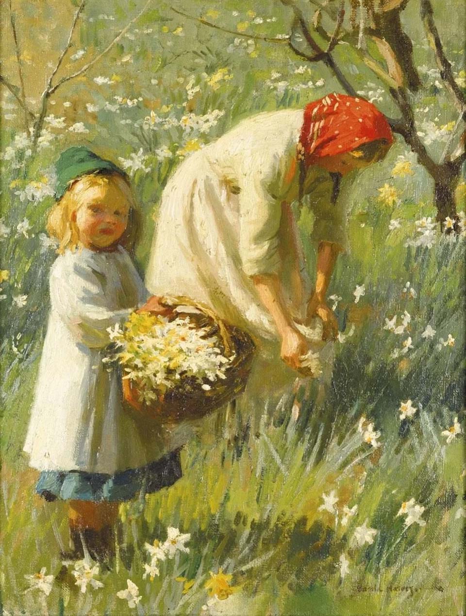 Picking daffodils