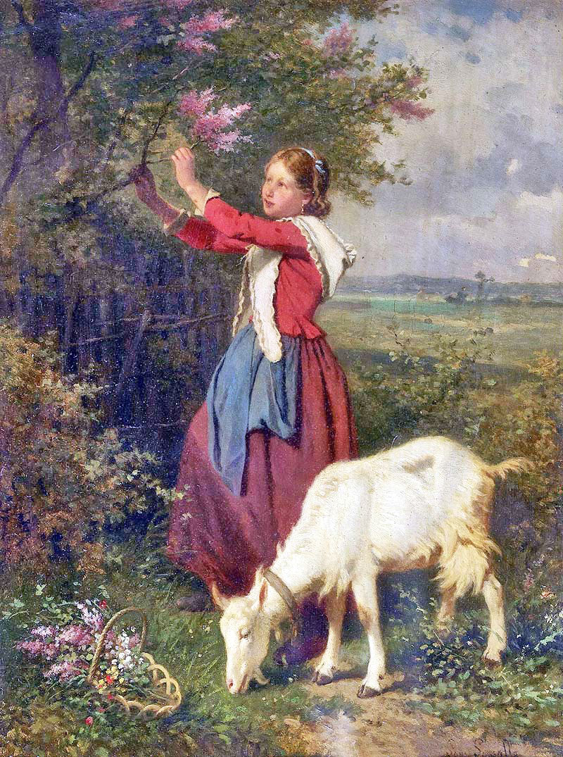 Goat and farmer's wife picking a branch of lilac
