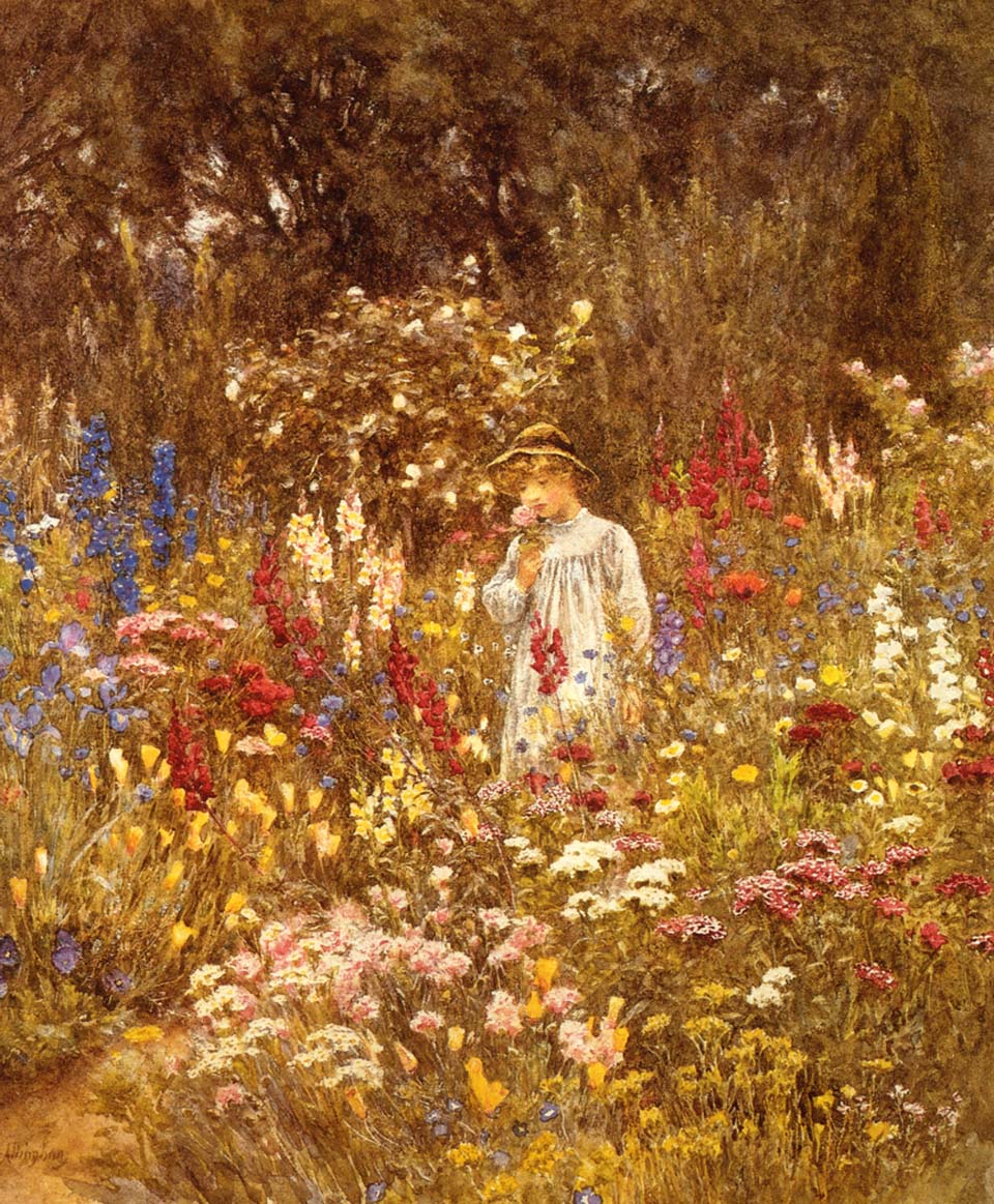 A cottage garden