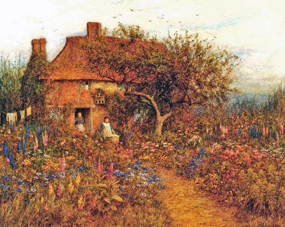 A summer garden