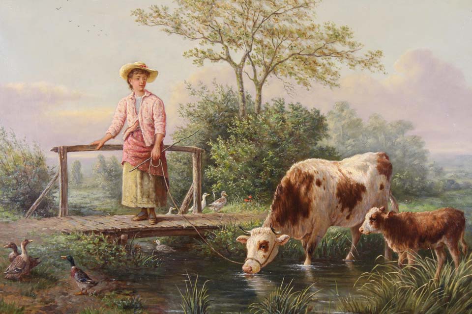 Farmer's daughter with cows