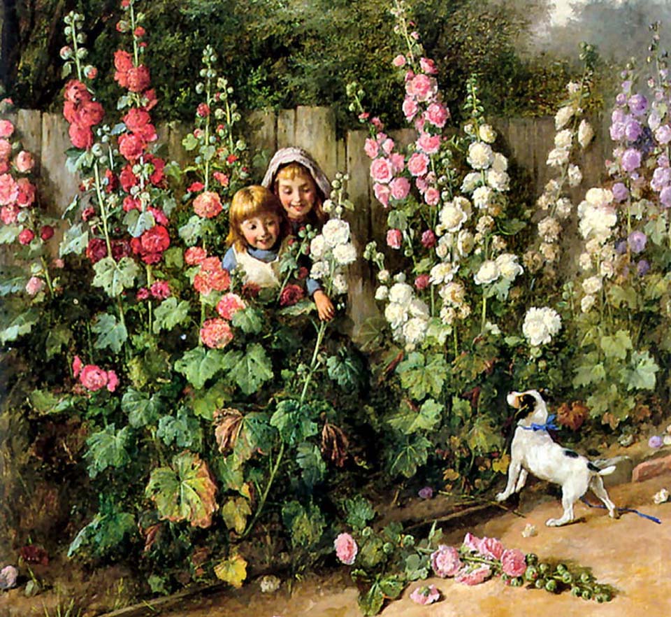 Behind the hollyhocks