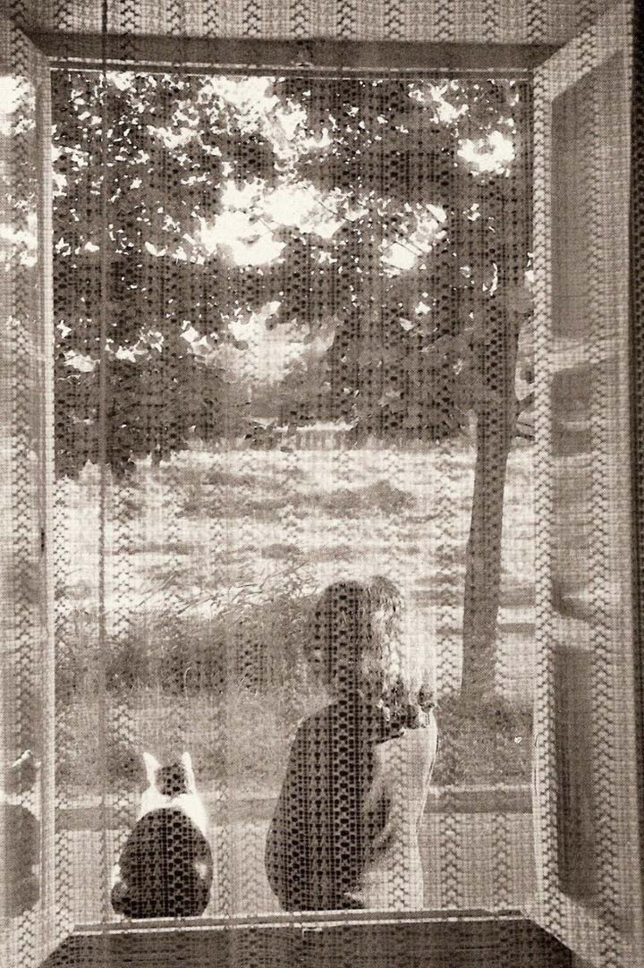 La fenêtre et le chat 1957
