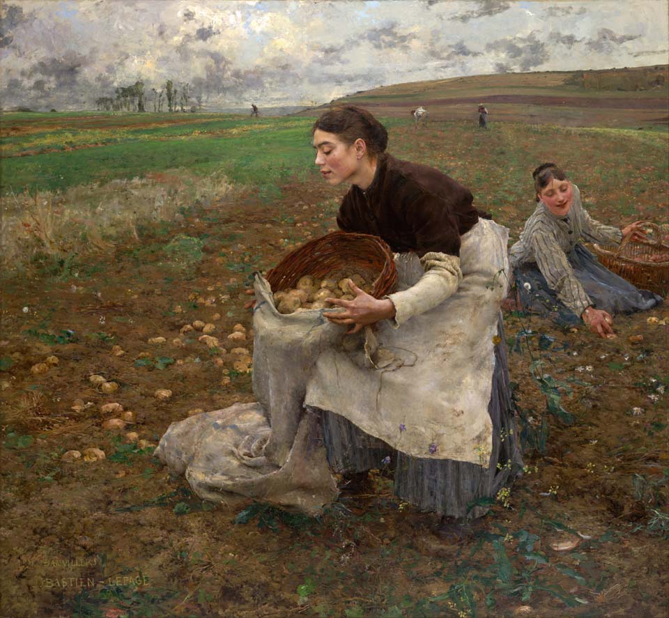October - The potato crop