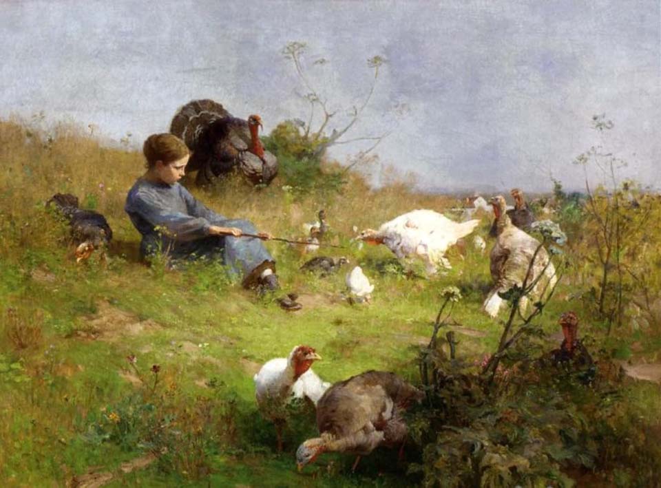 A young girl with a flock of turkeys