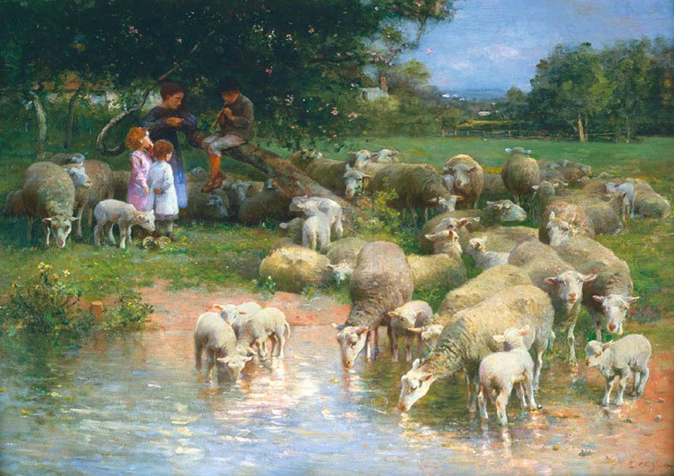 Children and sheep in spring
