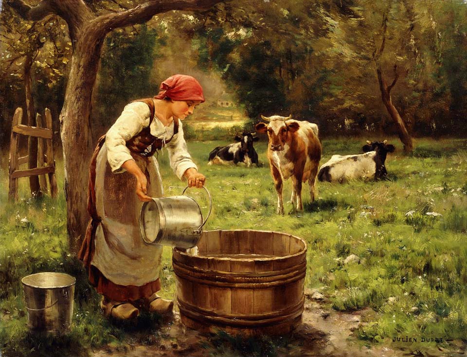 Tending the cows