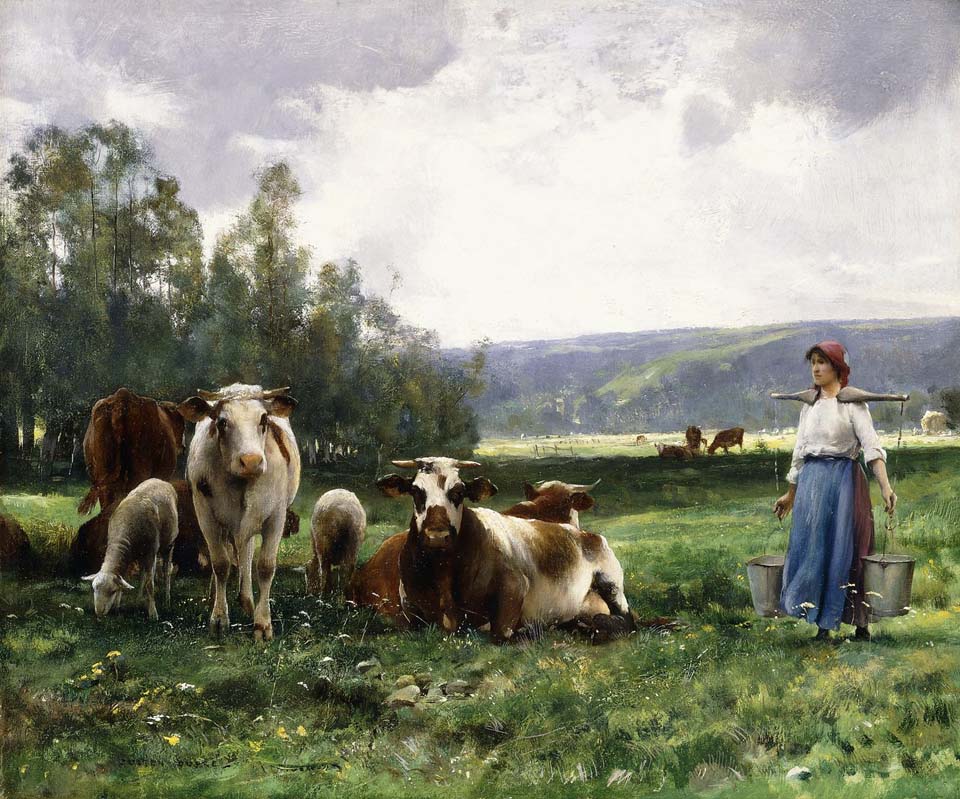 The cow pasture