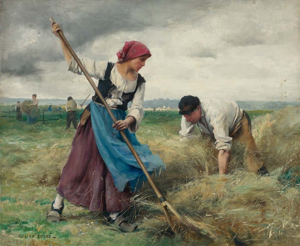 The harvesting of the hay
