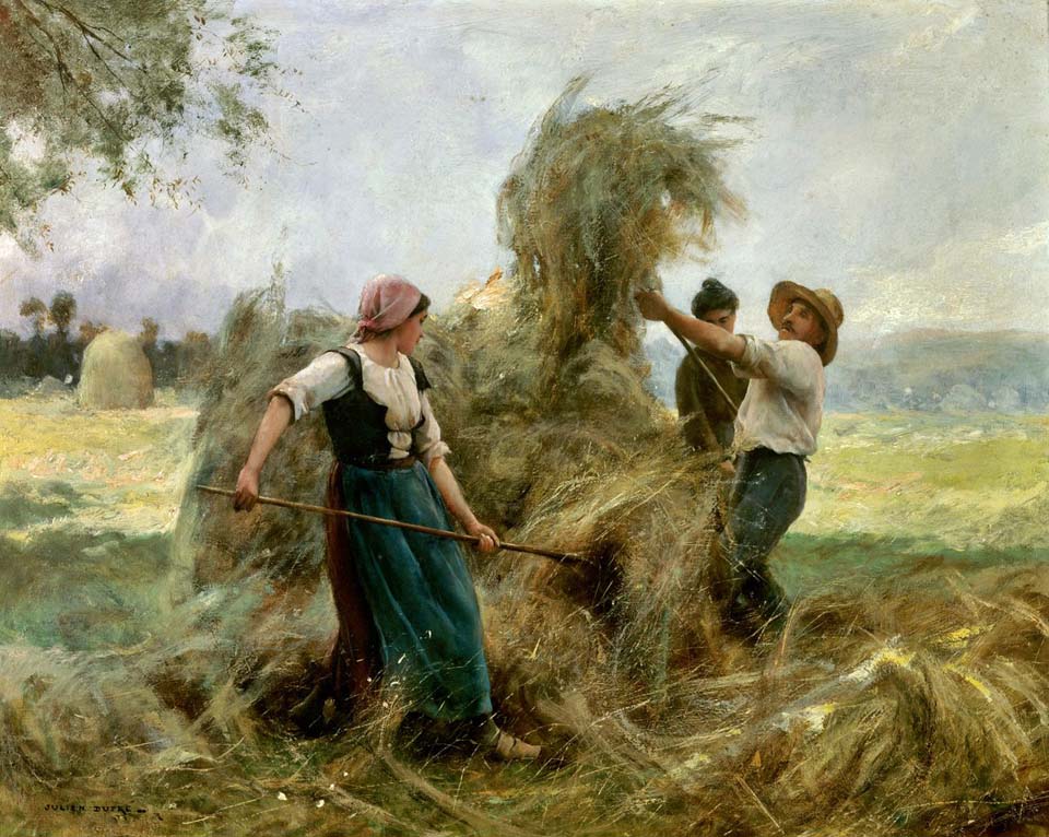 The hay