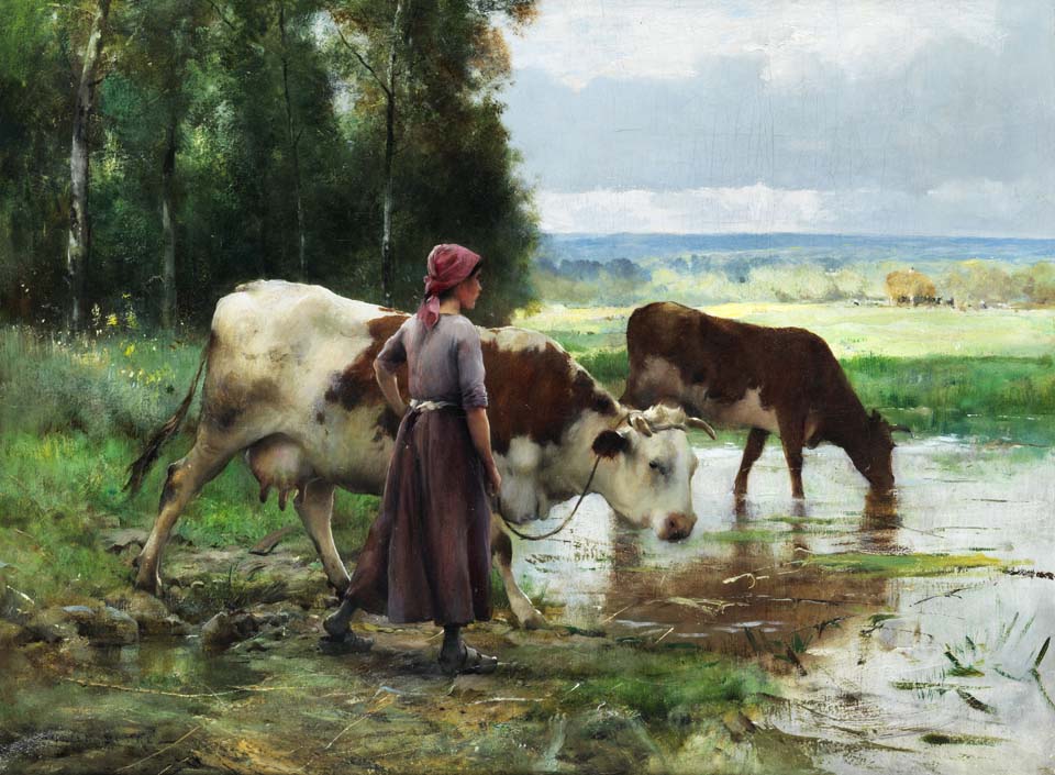 Young woman soaring cattles