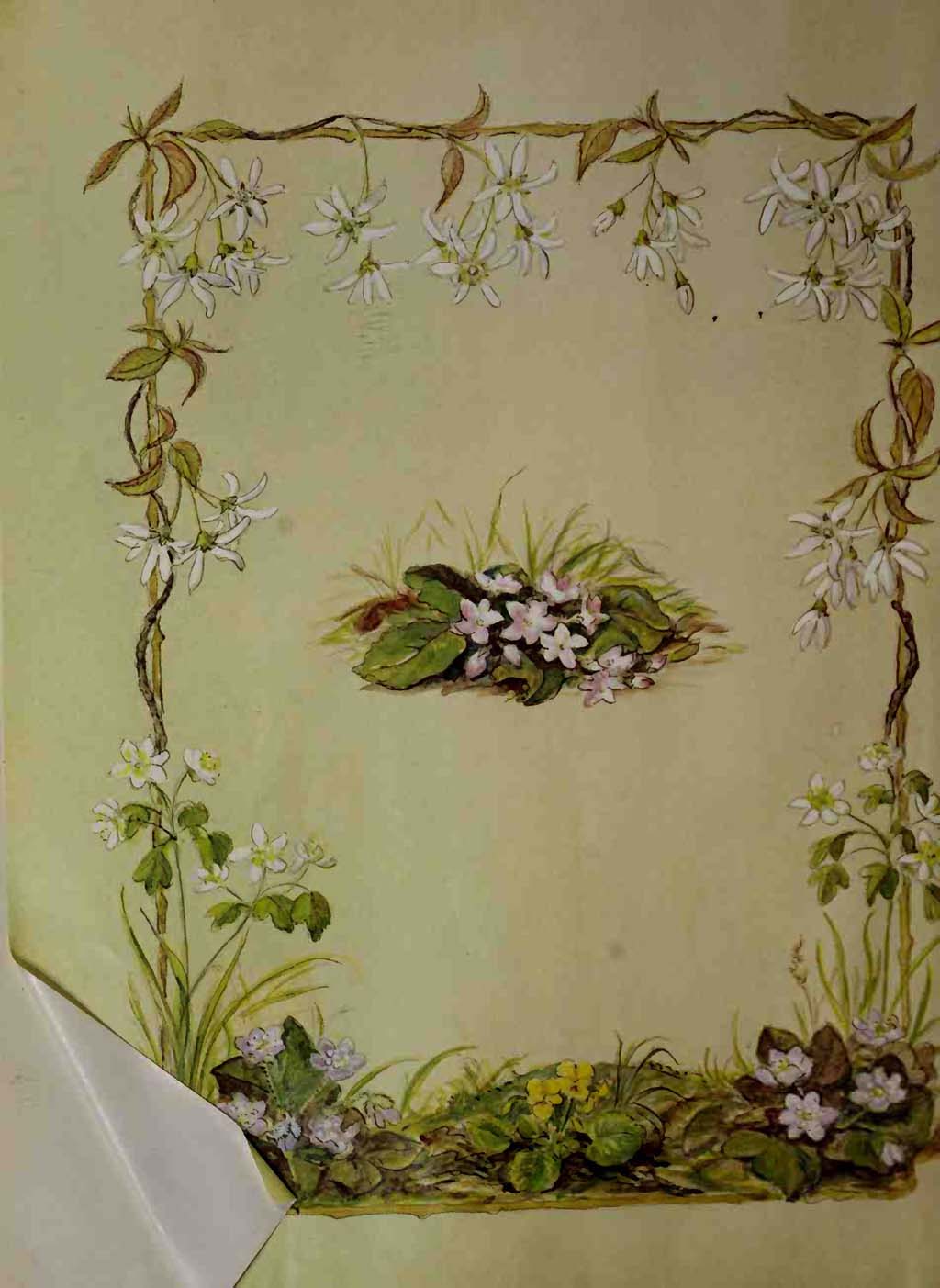 A time to keep by Tascha Tudor