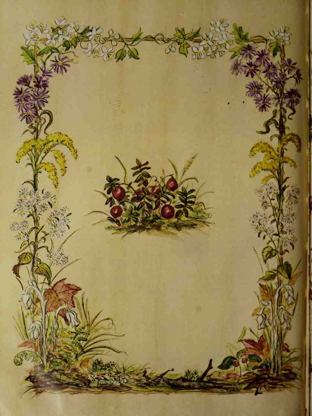 A time to keep by Tascha Tudor