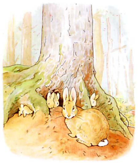 Beatrix Potter Le conte de Pierre Lapin