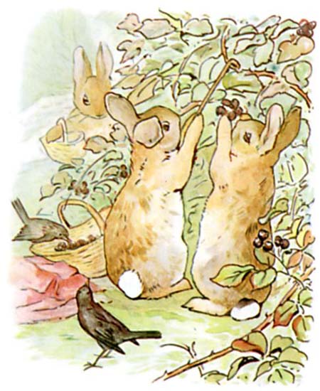 Beatrix Potter Le conte de Pierre Lapin