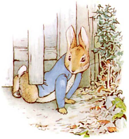 Beatrix Potter Le conte de Pierre Lapin