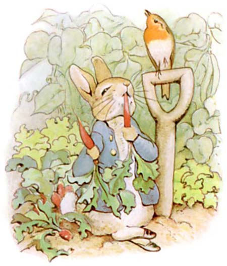Beatrix Potter Le conte de Pierre Lapin