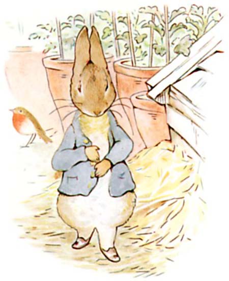 Beatrix Potter Le conte de Pierre Lapin