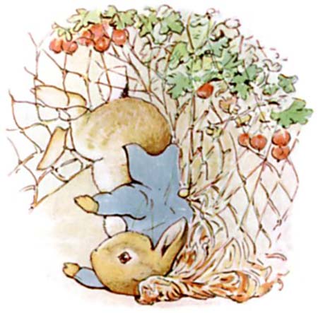 Beatrix Potter Le conte de Pierre Lapin