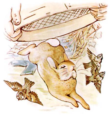 Beatrix Potter Le conte de Pierre Lapin