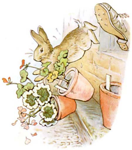 Beatrix Potter Le conte de Pierre Lapin