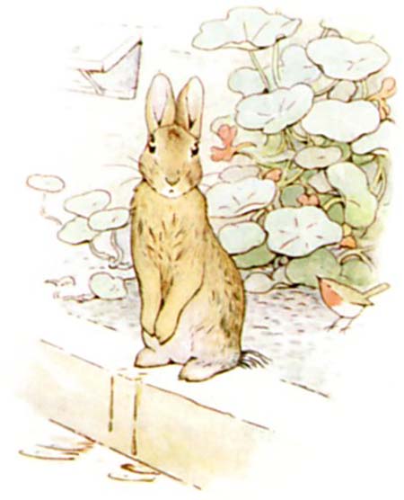 Beatrix Potter Le conte de Pierre Lapin