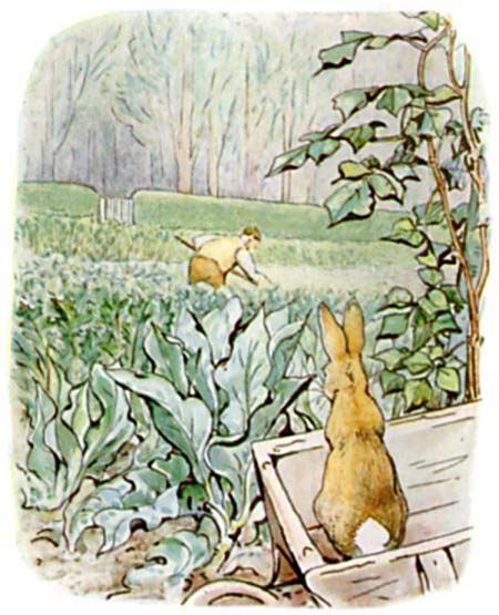Beatrix Potter Le conte de Pierre Lapin