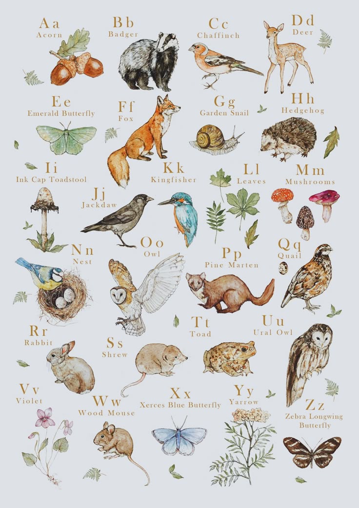 Beatrix Potter Le conte de Pierre Lapin