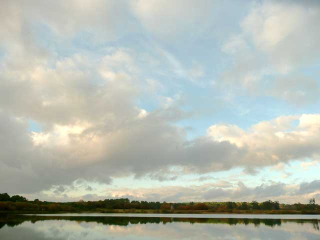 Réserve naturelle Nationale d’Arjuzanx le 20 novembre 2008 à 17h 16