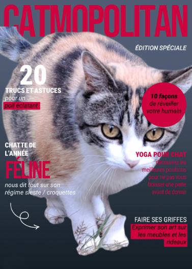 Fline en couverture de Catmopolitan