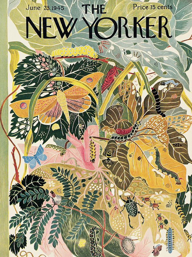 New Yorker 1945-06-23
