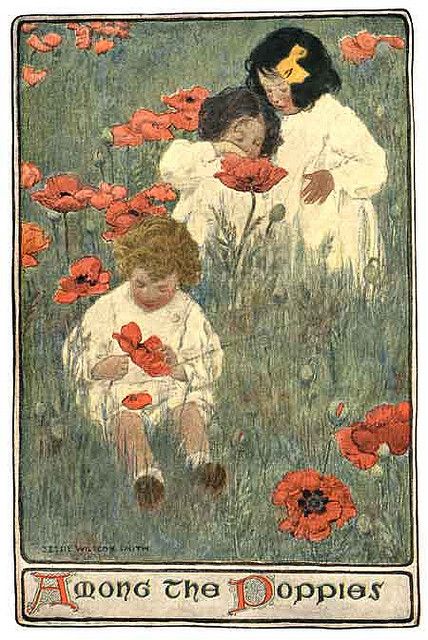 Among the Poppies
